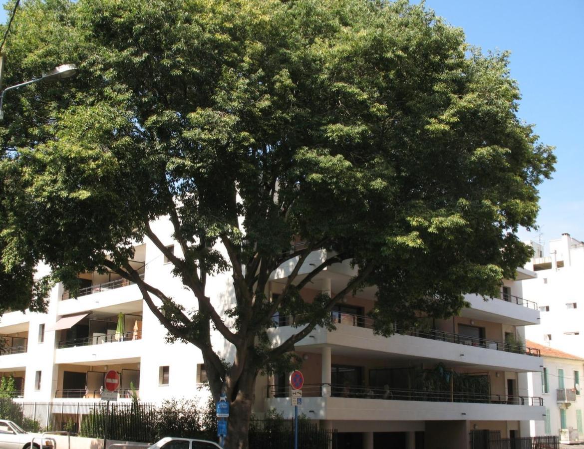 Spacious Luxury Apt, 12 Min Walk To Croisette Beach And Conf Centre Cannes Eksteriør billede