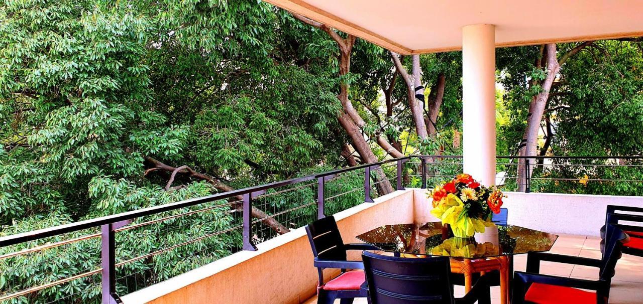Spacious Luxury Apt, 12 Min Walk To Croisette Beach And Conf Centre Cannes Eksteriør billede